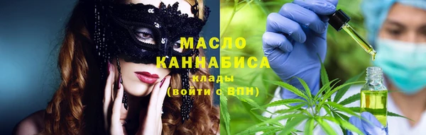 амф Алексин