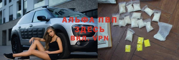 амф Алексин