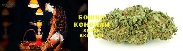 дмт Касимов